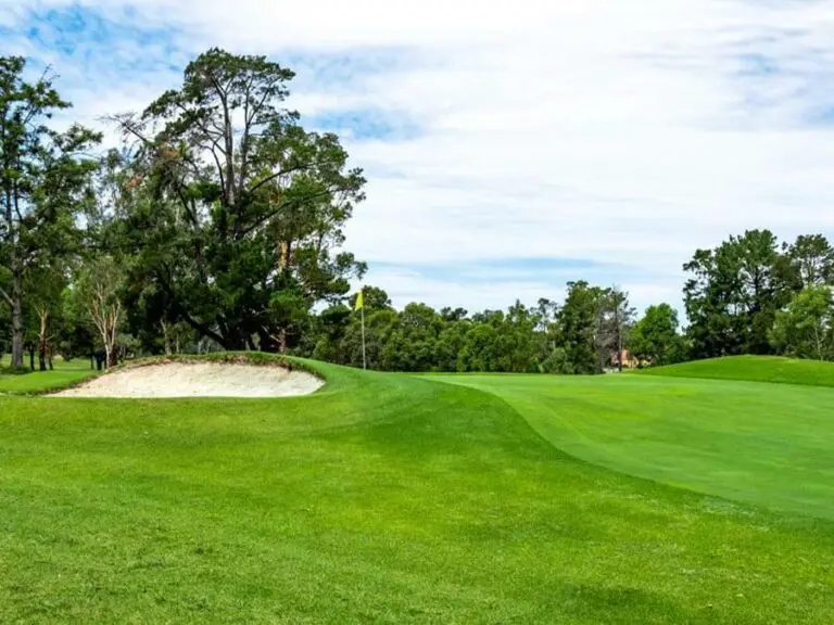 Lush turf on golf course