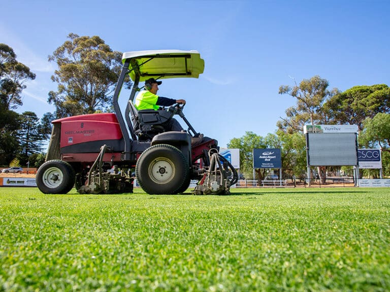 Sports turf maintenance regime is key Sports turf management: How turf quality impacts player safety